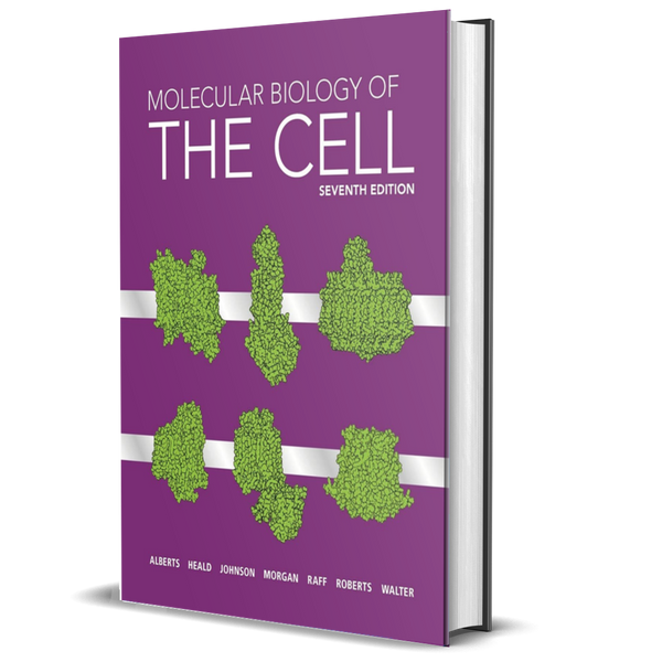 Molecular Biology of the Cell 第4版 英語版 Molecular Biology of