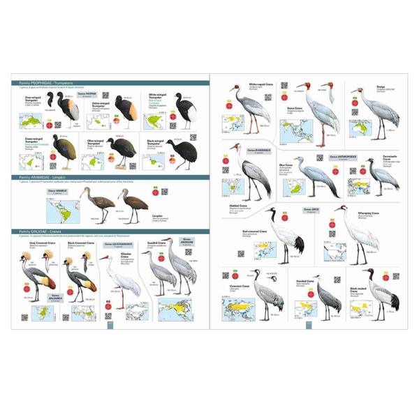 All the Birds of the World ²⁵ - BIOWEB Brasil