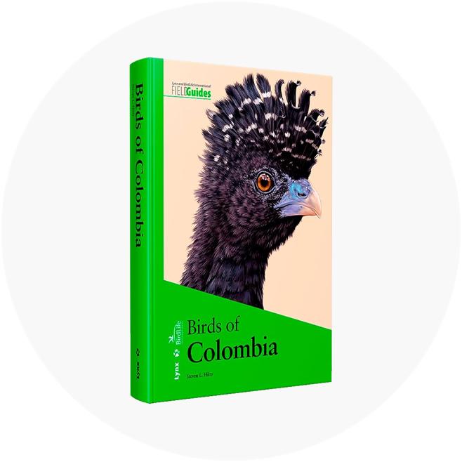 Livros