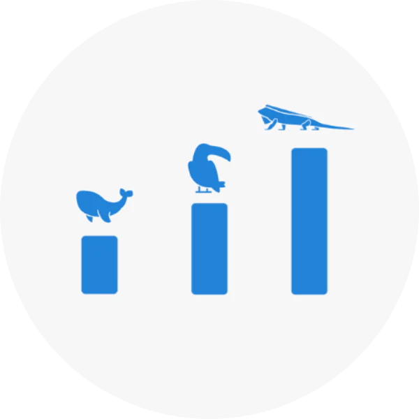 Demografia & Monitoramento
