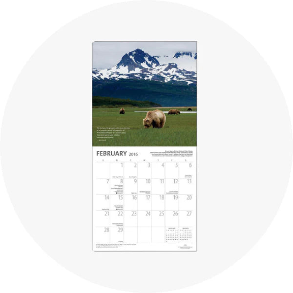 Calendários