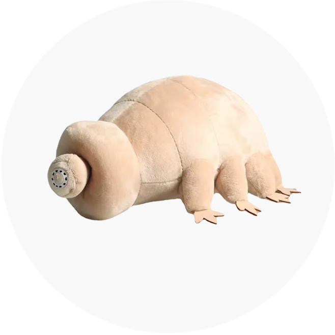 Pelúcias