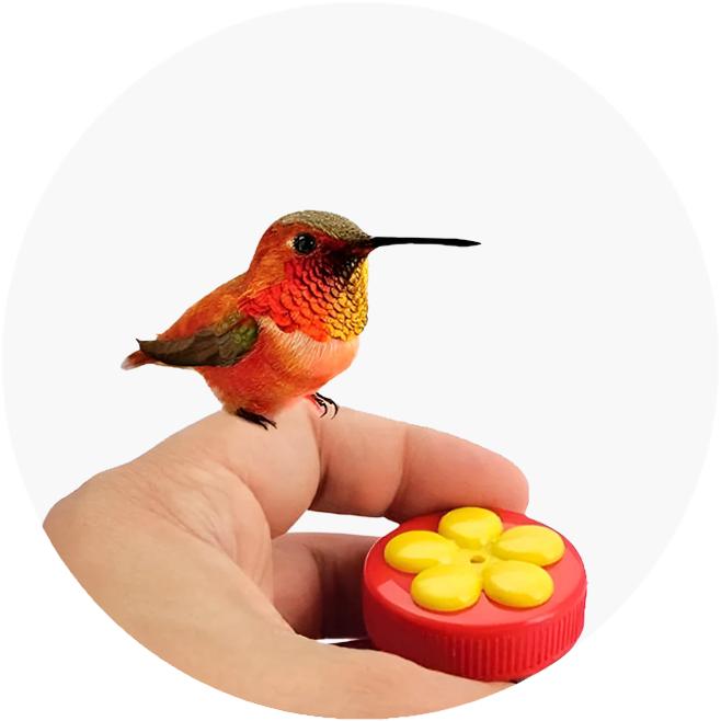 Outros Produtos para Apaixonados pela Natureza