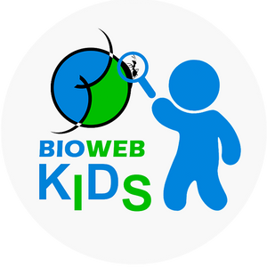 BIOWEB Kids