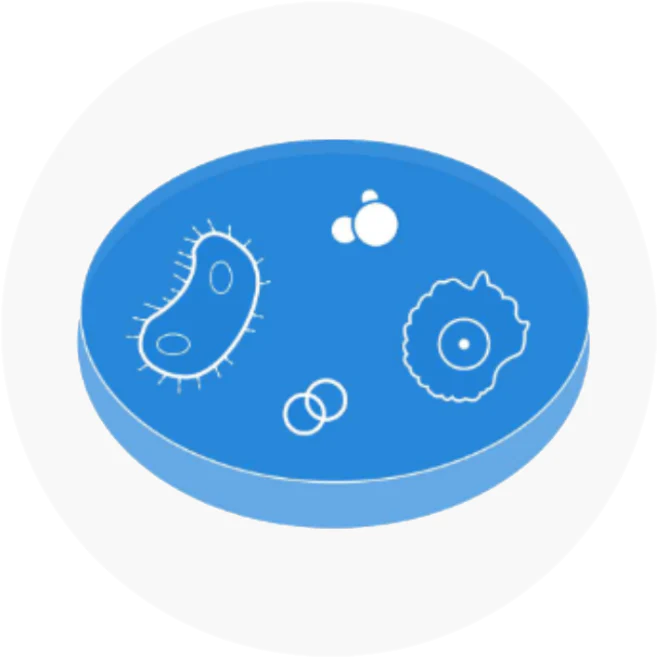 Microbiologia