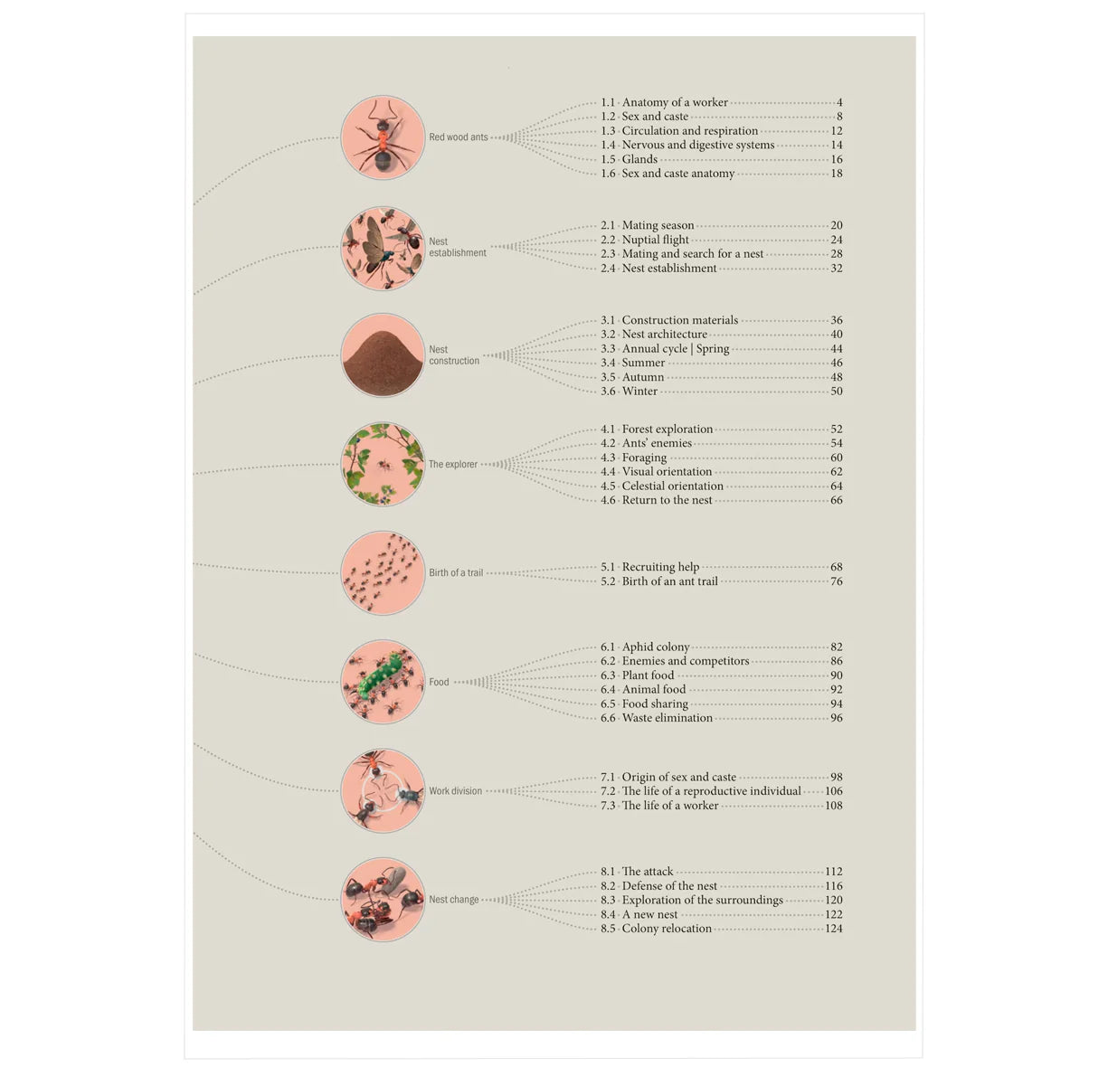 The Ant Collective: Inside the World of an Ant Colony