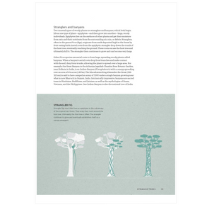 The World Atlas of Trees and Forests: Exploring Earth's Forest Ecosystems