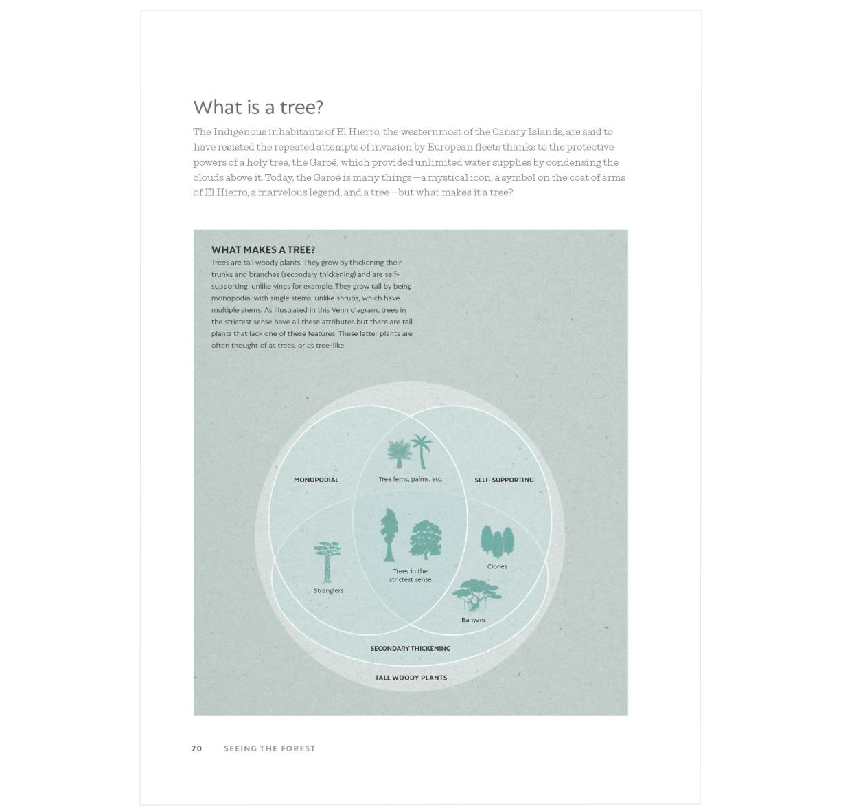 The World Atlas of Trees and Forests: Exploring Earth's Forest Ecosystems