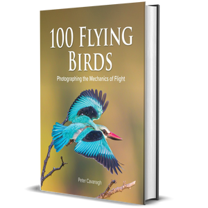 100 Flying Birds: Photographing the Mechanics of Flight