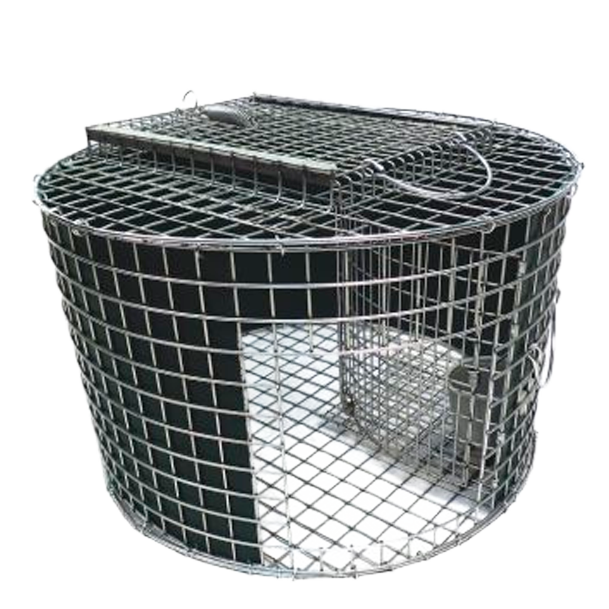 Armadilha Circular Tomahawk Humanitária para Gatos
