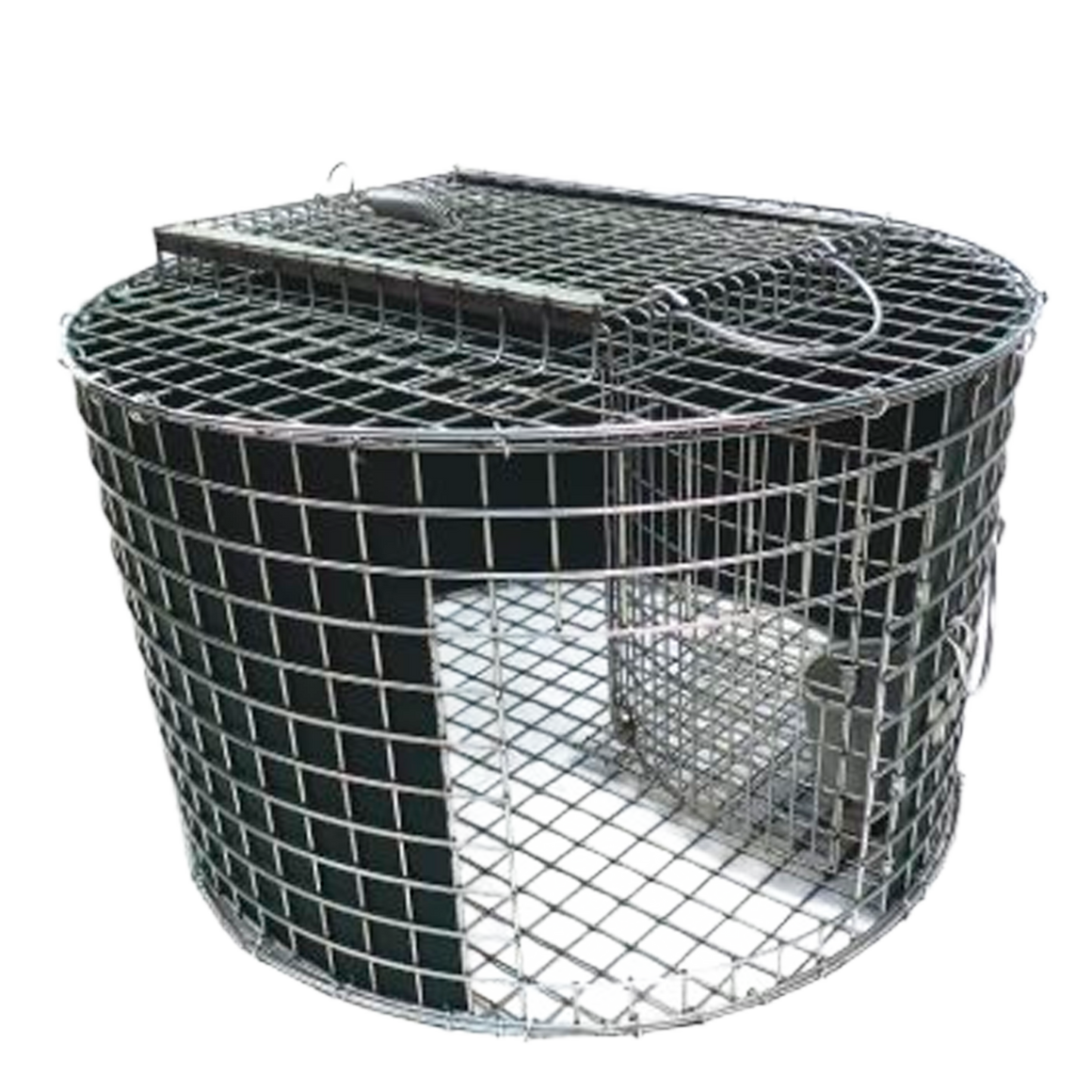 Armadilha Circular Tomahawk Humanitária para Gatos