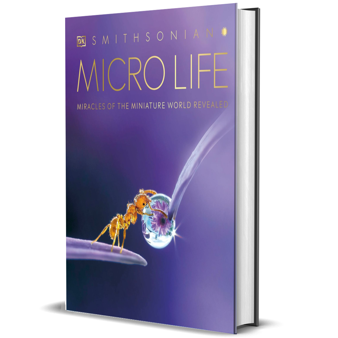Micro Life: Miracles of the Miniature World Revealed (DK Secret World Encyclopedias) (Packaging may vary)