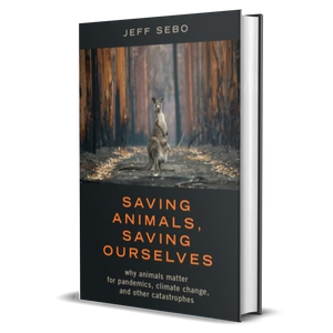 Saving Animals, Saving Ourselves: Why Animals Matter for Pandemics, Climate Change, and other Catastrophes