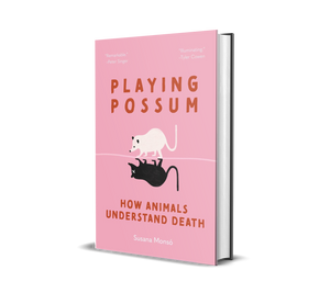 Playing Possum: How Animals Understand Death