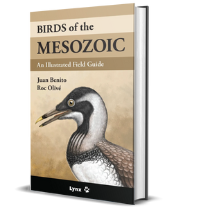 Birds of the Mesozoic: An Illustrated Field Guide