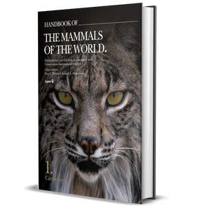 Handbook of the Mammals of the World