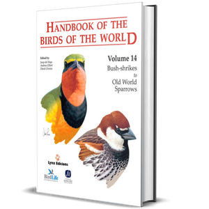 Handbook of the Birds of the World Vol.14: Bush-shrikes to Old World Sparrows