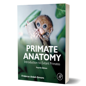 Primate Anatomy: Introduction to Extant Primates