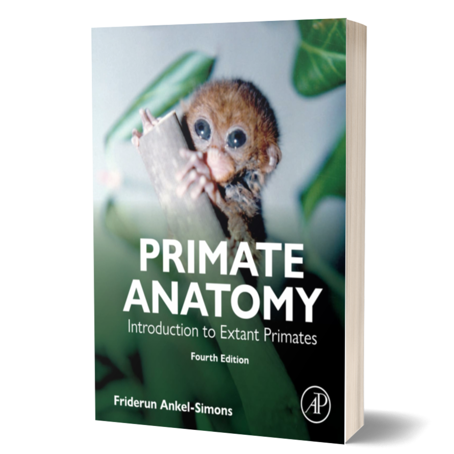 Primate Anatomy: Introduction to Extant Primates