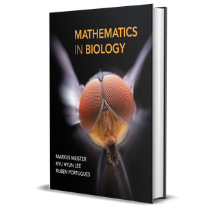 Mathematics in Biology