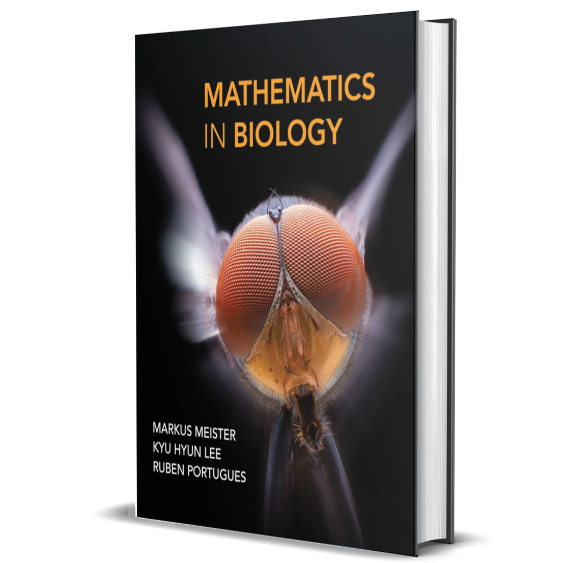 Mathematics in Biology