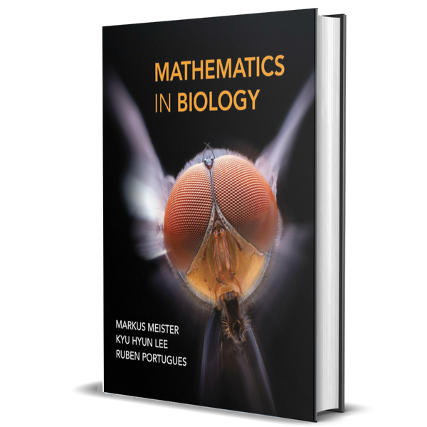 Mathematics in Biology ²⁵ - BIOWEB Brasil
