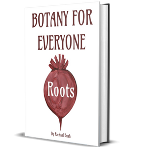 Botany for Everyone: Roots