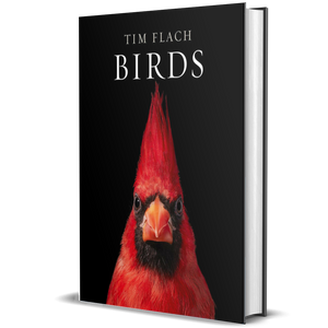 Birds: Photographs