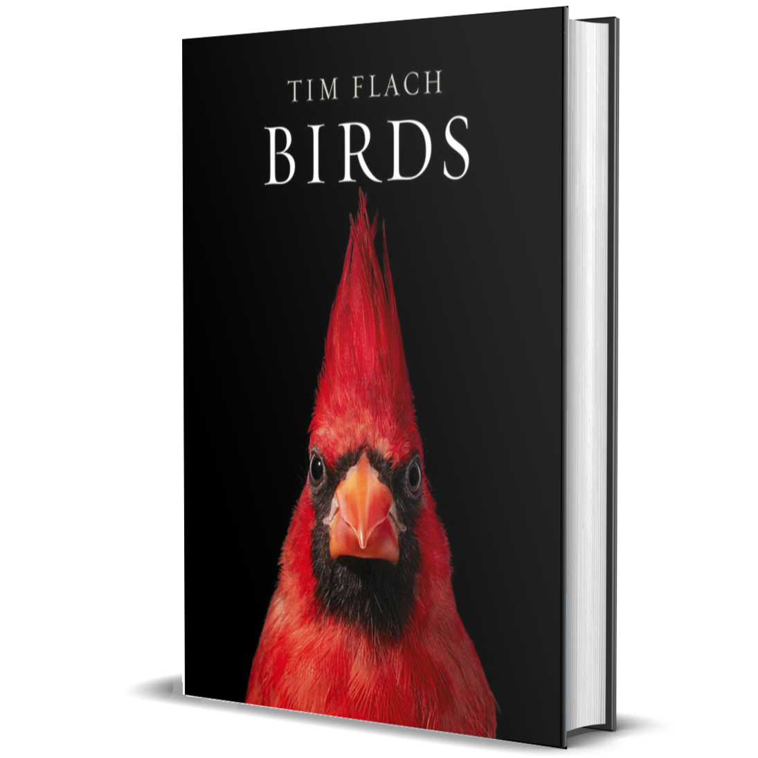 Birds: Photographs