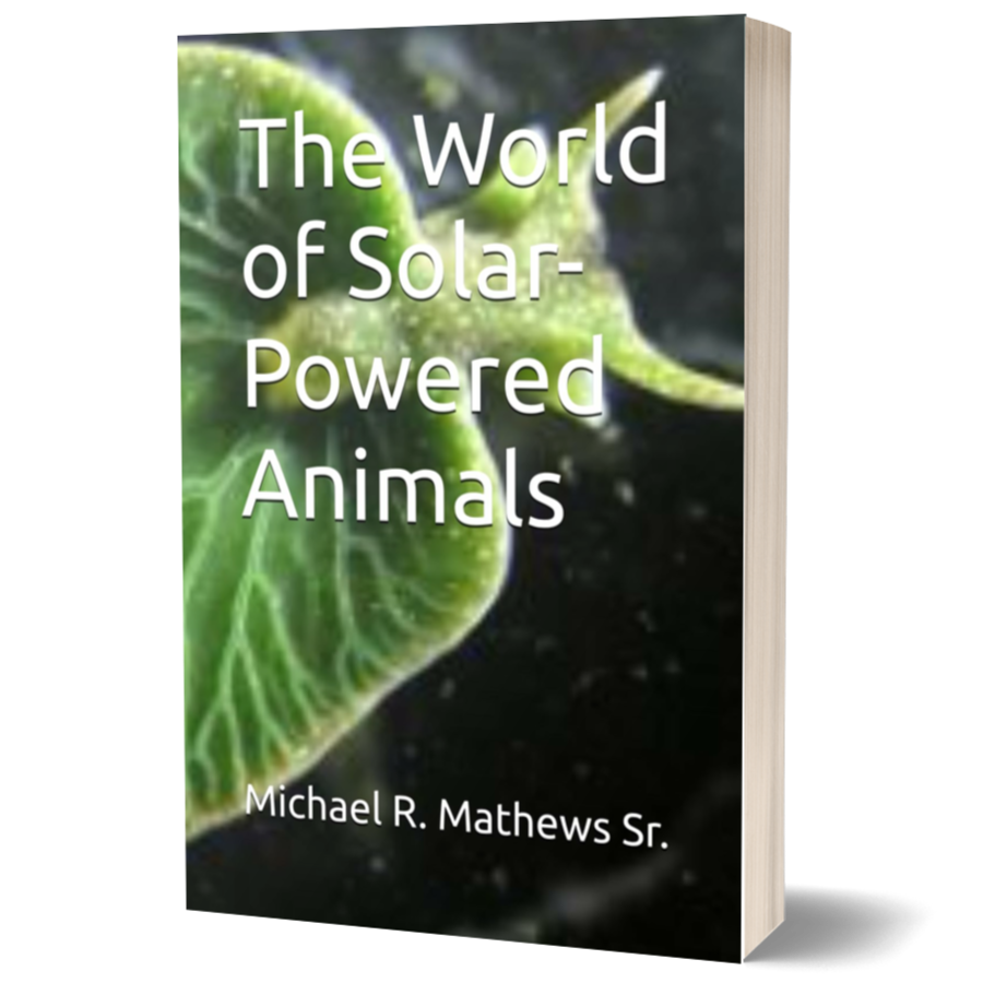 The World of Solar-Powered Animals