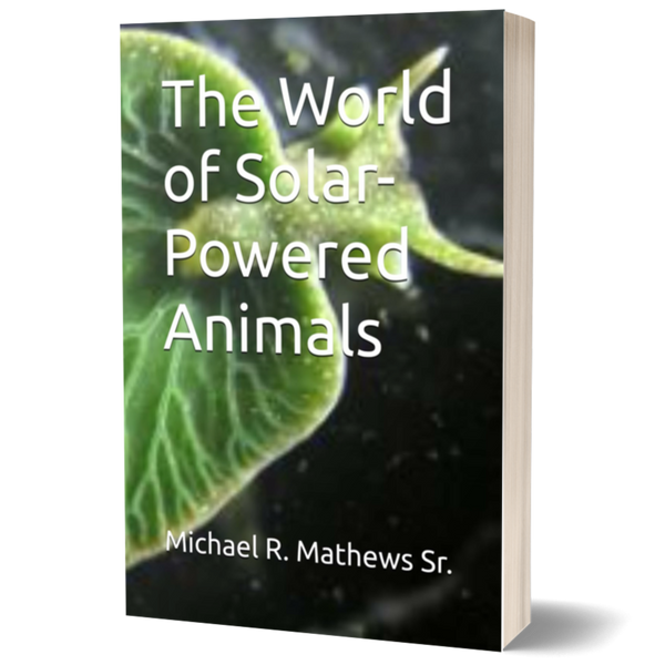 The World of Solar-Powered Animals ²⁵ - BIOWEB Brasil