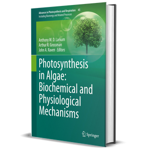 Photosynthesis in Algae: Biochemical and Physiological Mechanisms (Advances in Photosynthesis and Respiration, 45)