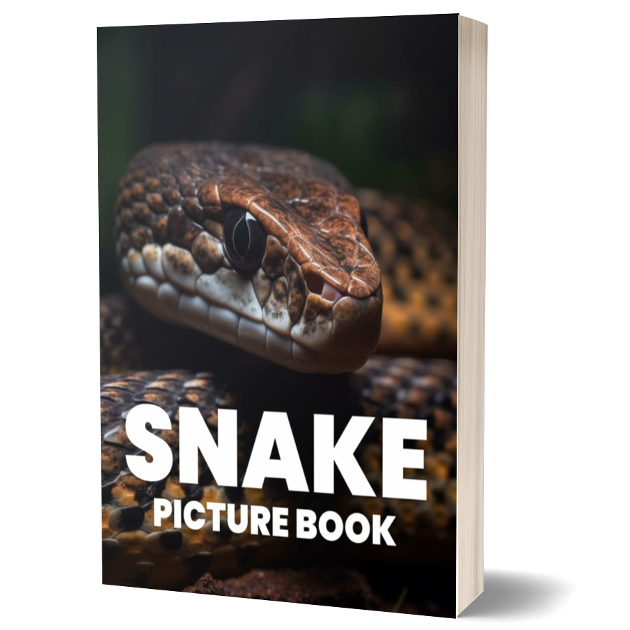Snake Picture Book: Explore the Intriguing World of Snakes Through 100 Captivating Photographs