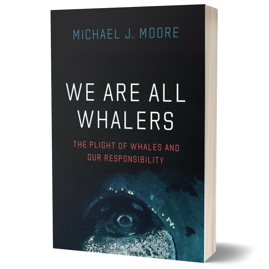 We Are All Whalers: The Plight of Whales and Our Responsibility ²⁵
