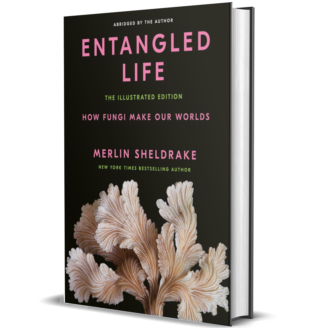 The Wonder of Mushrooms: The Mysterious World of Fungi