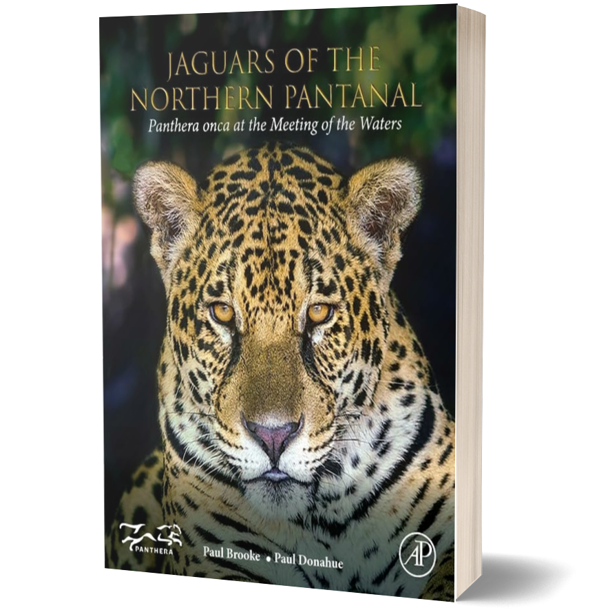 Jaguars of the Northern Pantanal: Panthera onca at the Meeting of the Waters