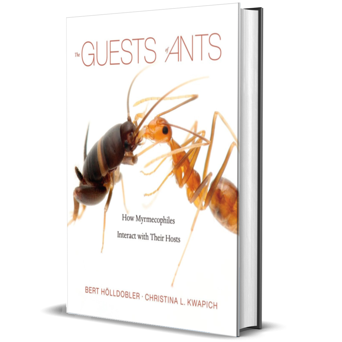 The Guests of Ants: How Myrmecophiles Interact with Their Hosts