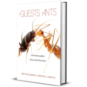 The Guests of Ants: How Myrmecophiles Interact with Their Hosts