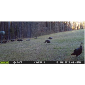 Kit de Câmeras de Rastreamento Moultrie Série Micro-42 42 MP