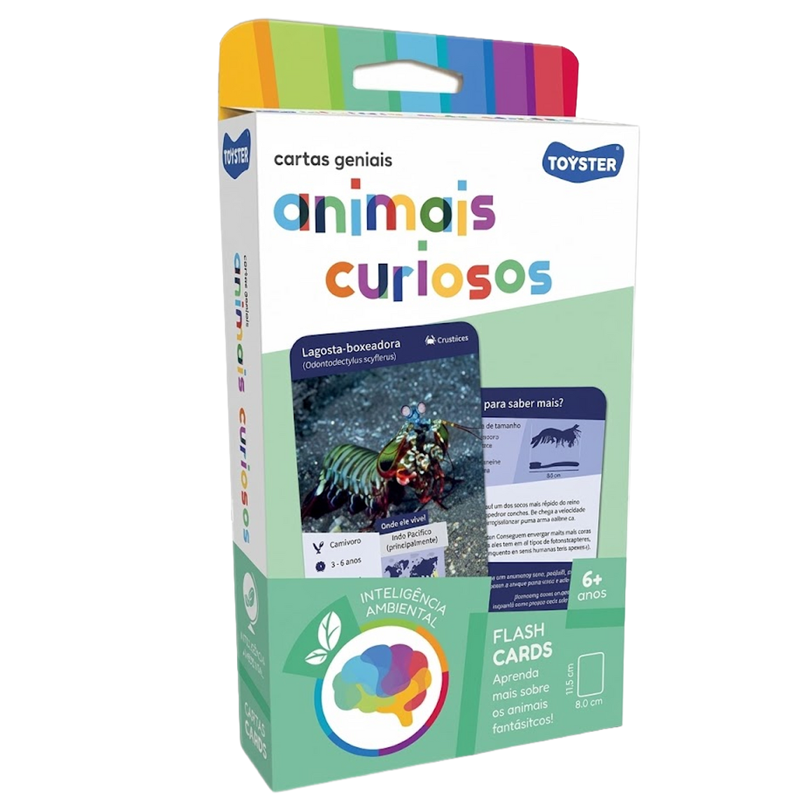 Jogo de Cartas Animais Curiosos (+6)