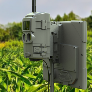 Câmeras de Rastreamento Cuddeback CuddeLink Série L