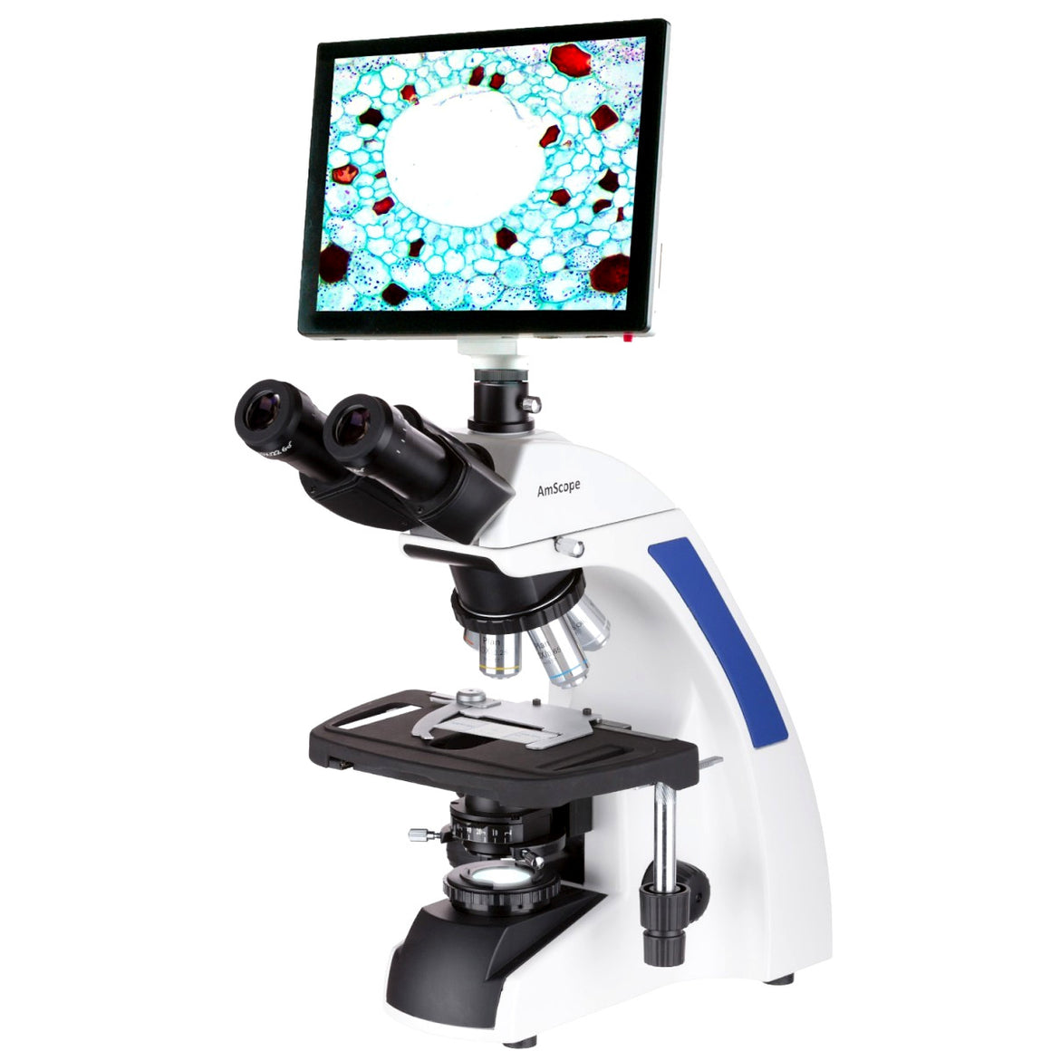 Microscópio Composto AmScope 40X-2500X com Tela Touch LCD
