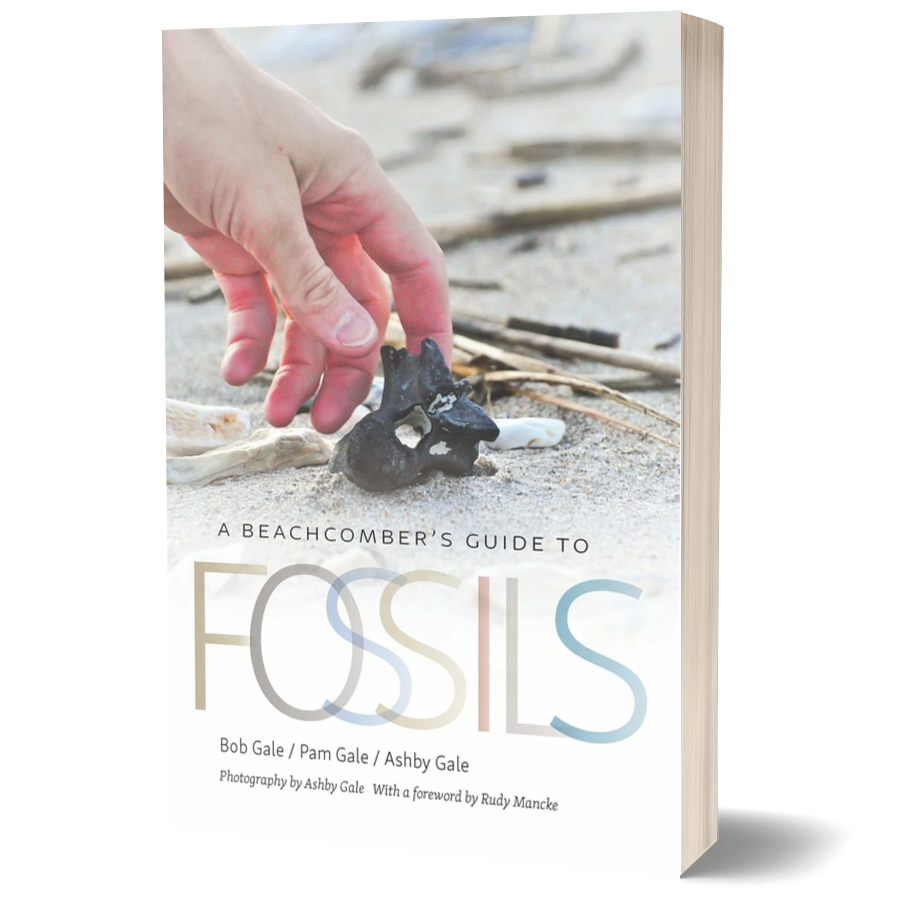 A Beachcomber’s Guide to Fossils (Wormsloe Foundation Nature Books)