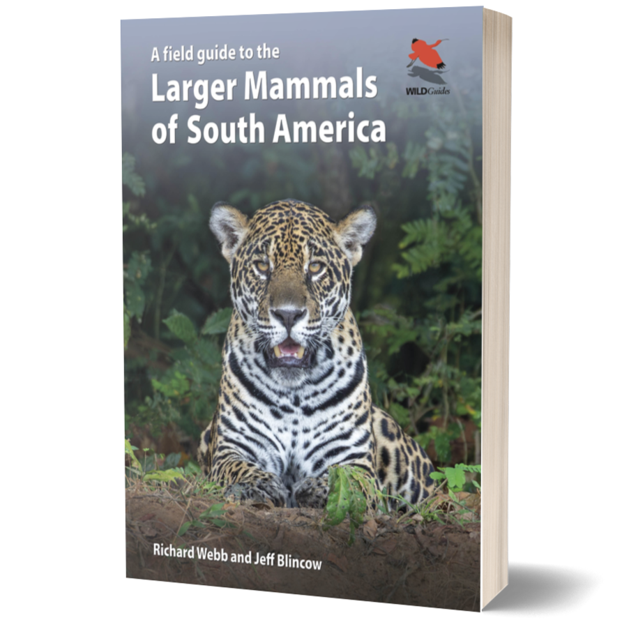 A Field Guide to the Larger Mammals of South America