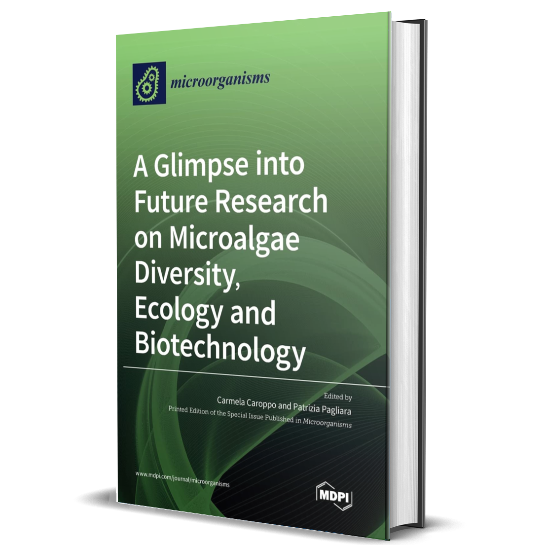 A Glimpse into Future Research on Microalgae Diversity, Ecology and Biotechnology