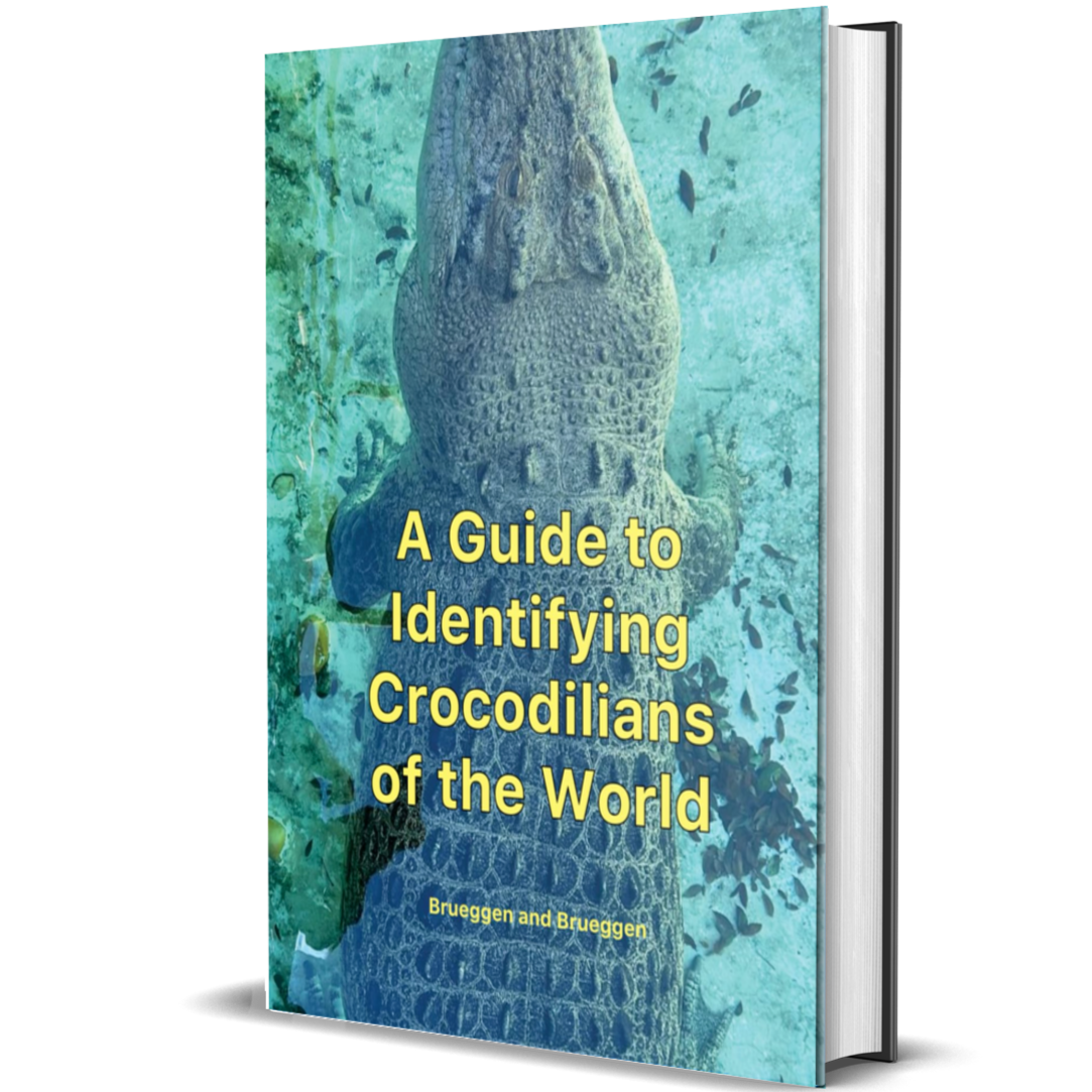 A Guide to Identifying Crocodilians of the World