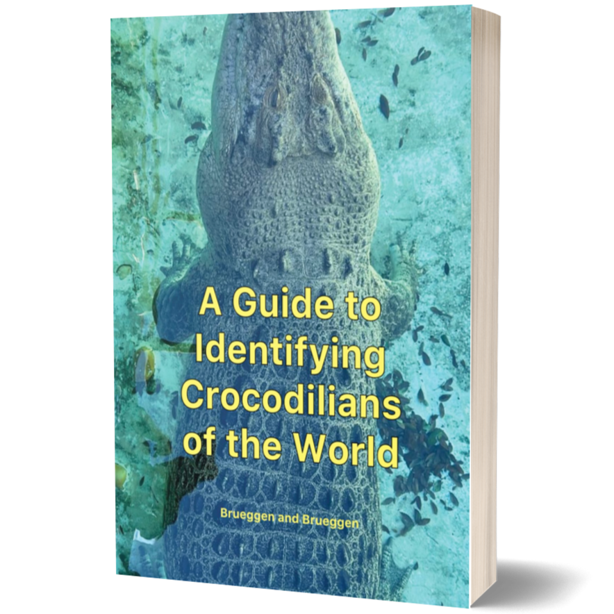 A Guide to Identifying Crocodilians of the World