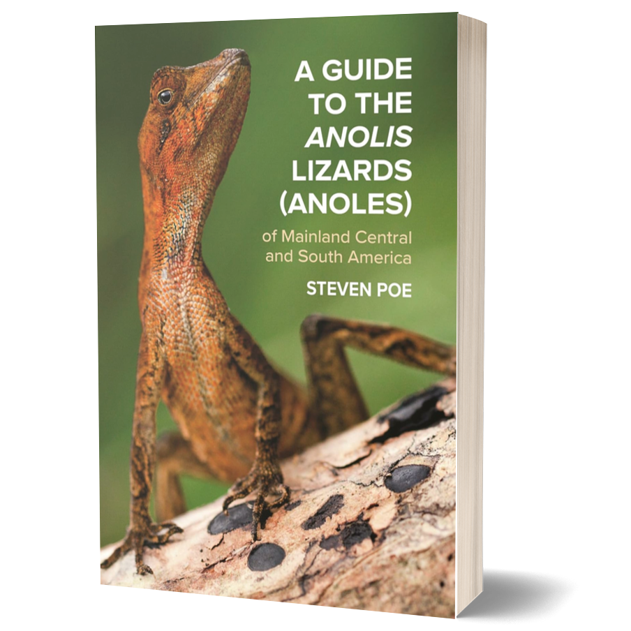 A Guide to the Anolis Lizards (Anoles) of Mainland Central and South America