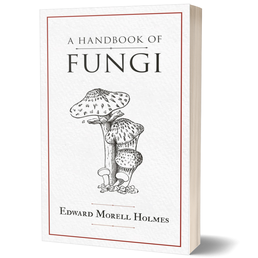 A Handbook of Fungi