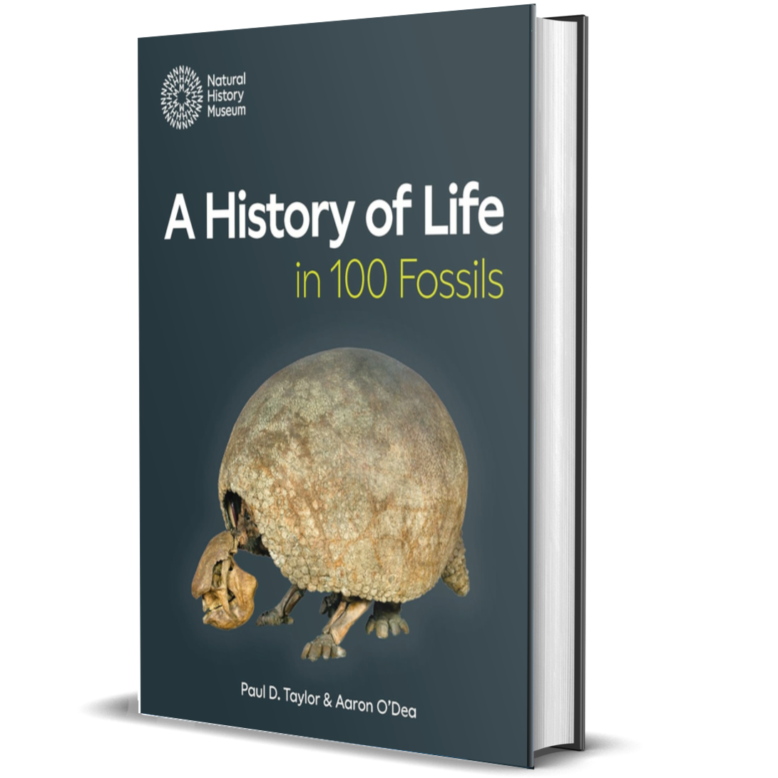A History of Life in 100 Fossils
